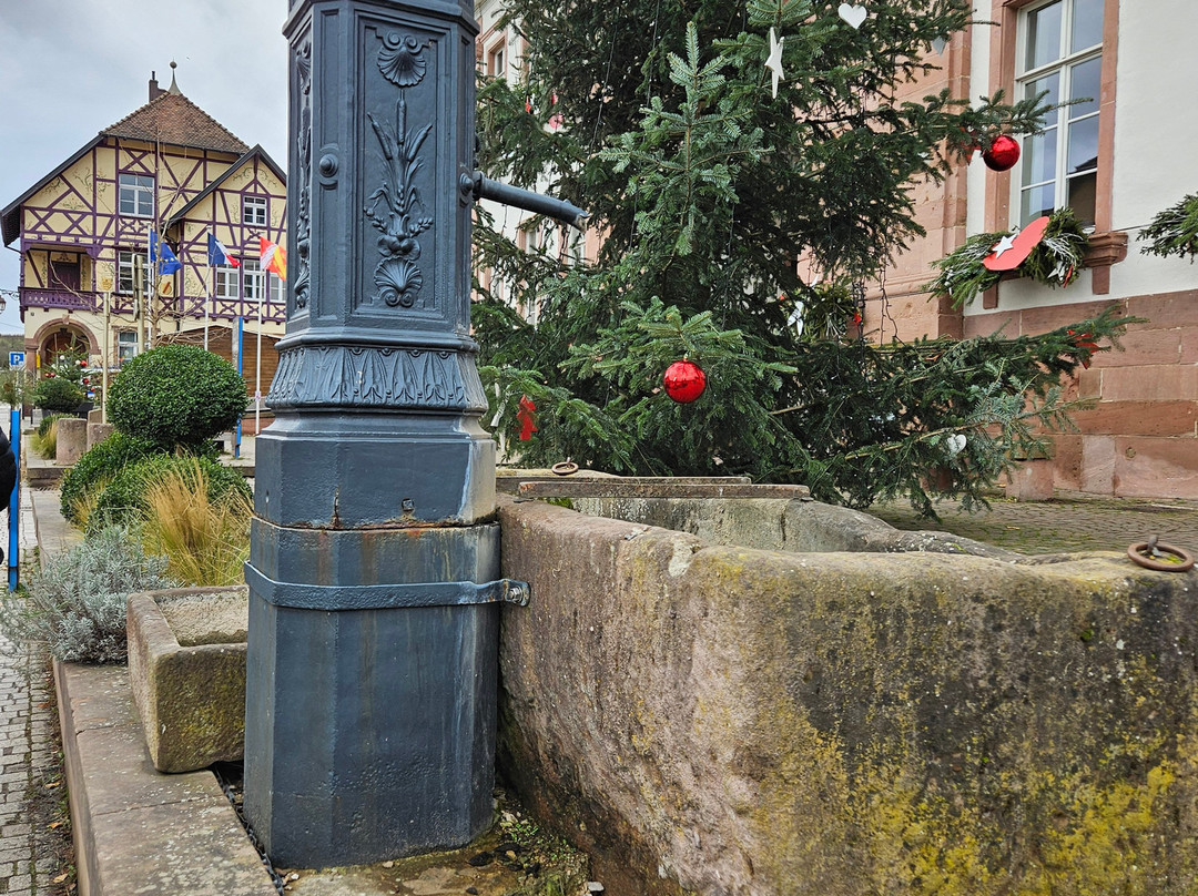 Feerie de Noel-利克威尔必去景点