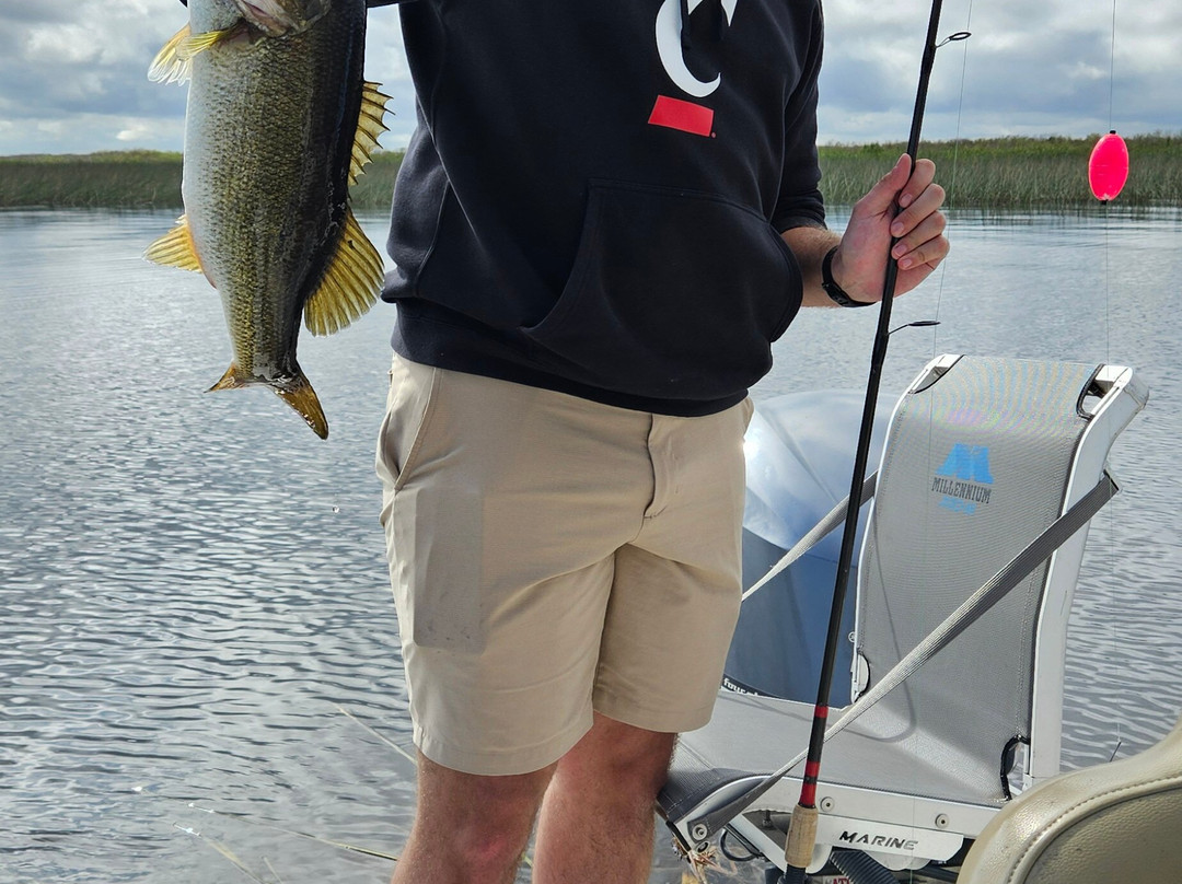 Roland Martin Marina & Resort主图