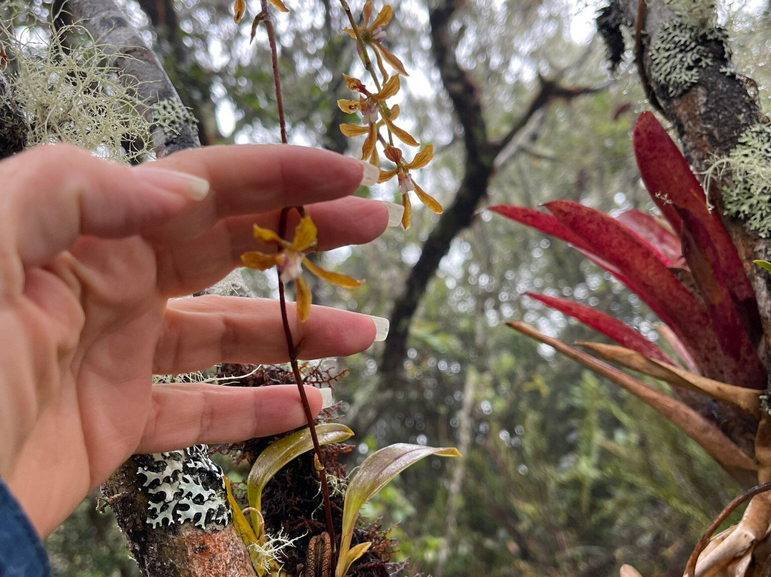 Parque Nacional Natural Puracé-Purace必去景点