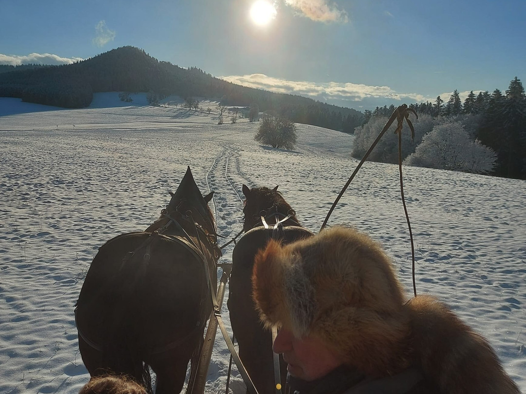 Rosszeit-Deilingen必去景点