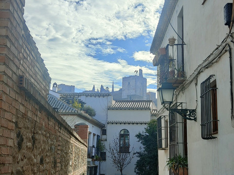 Roberto el Guía-格拉纳达必去景点