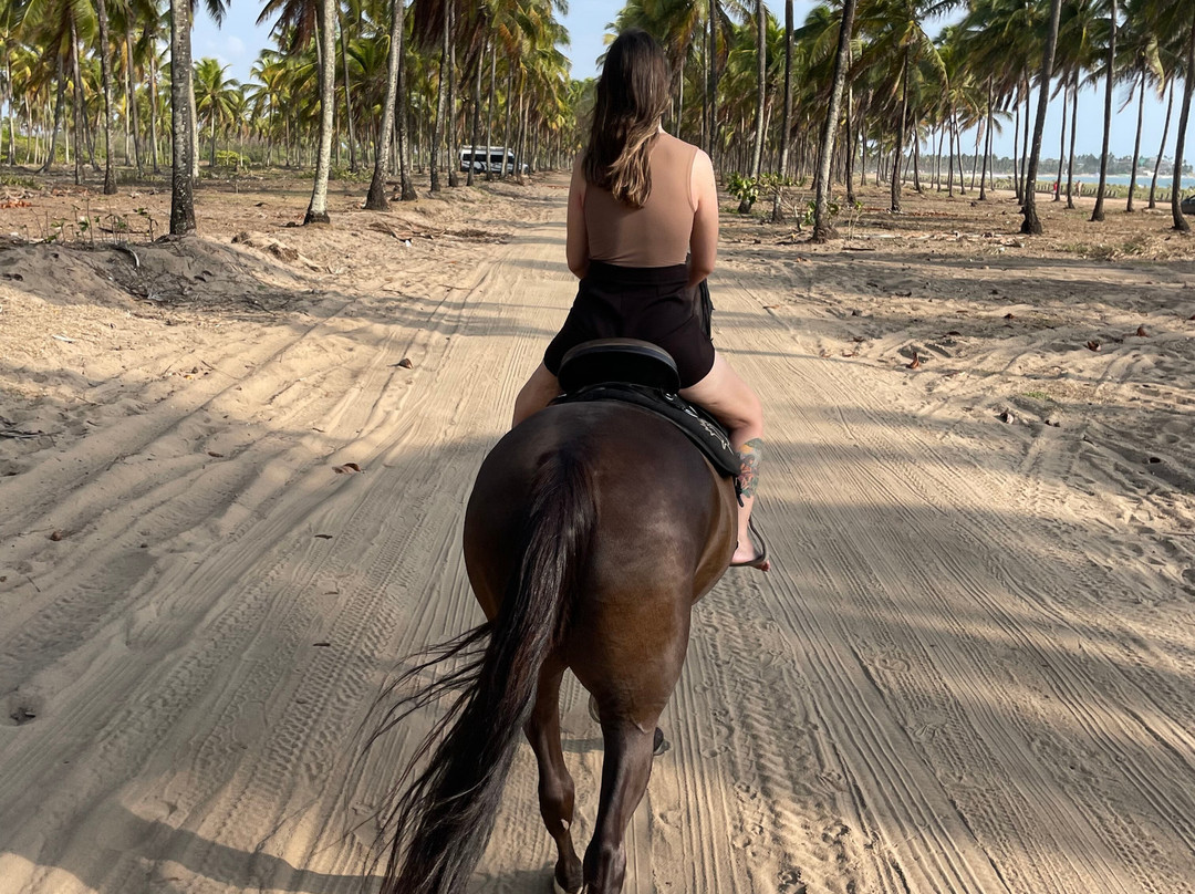 Haras Maracaipe-嘎林海斯港必去景点