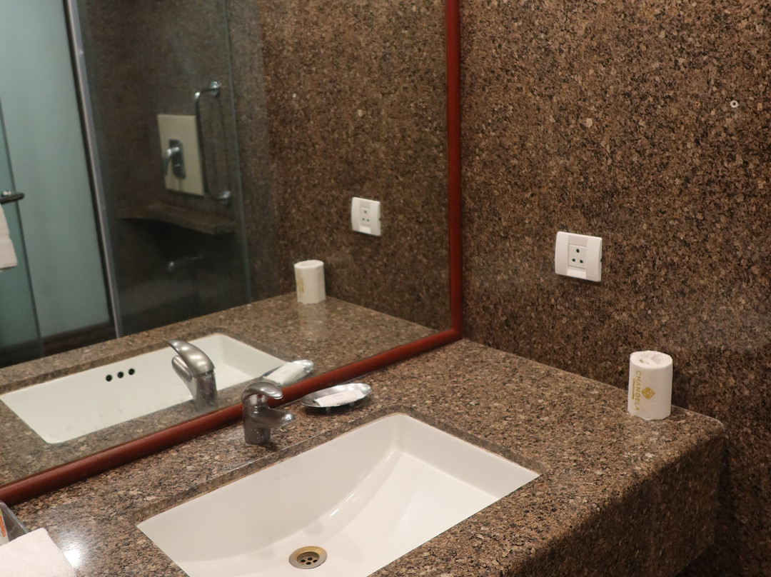 卡久拉霍查德拉泰姬陵酒店主图