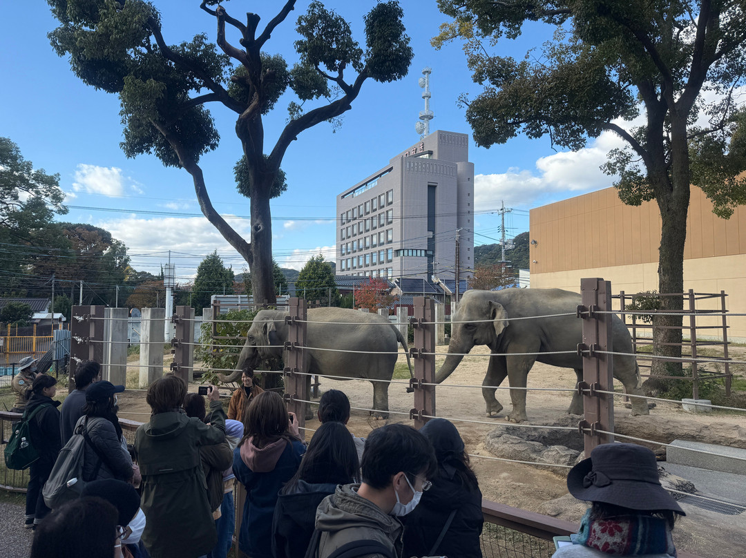 Tokuyama Zoo-周南市必去景点