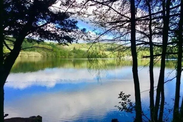 Morgenster Wine Farm and Olive Estate-西索美塞必去景点