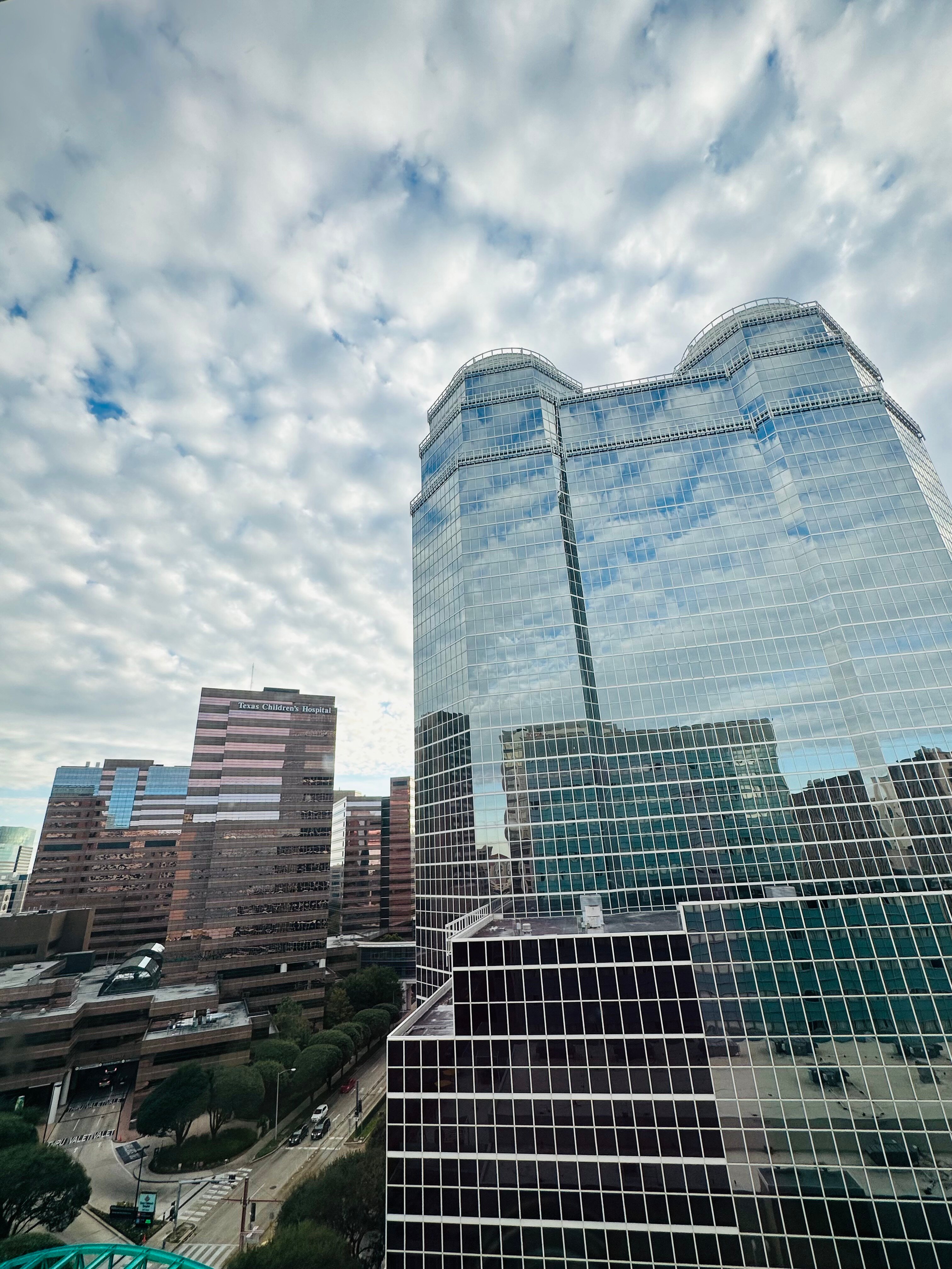 The Westin Houston Medical Center/Museum District-酒店景观