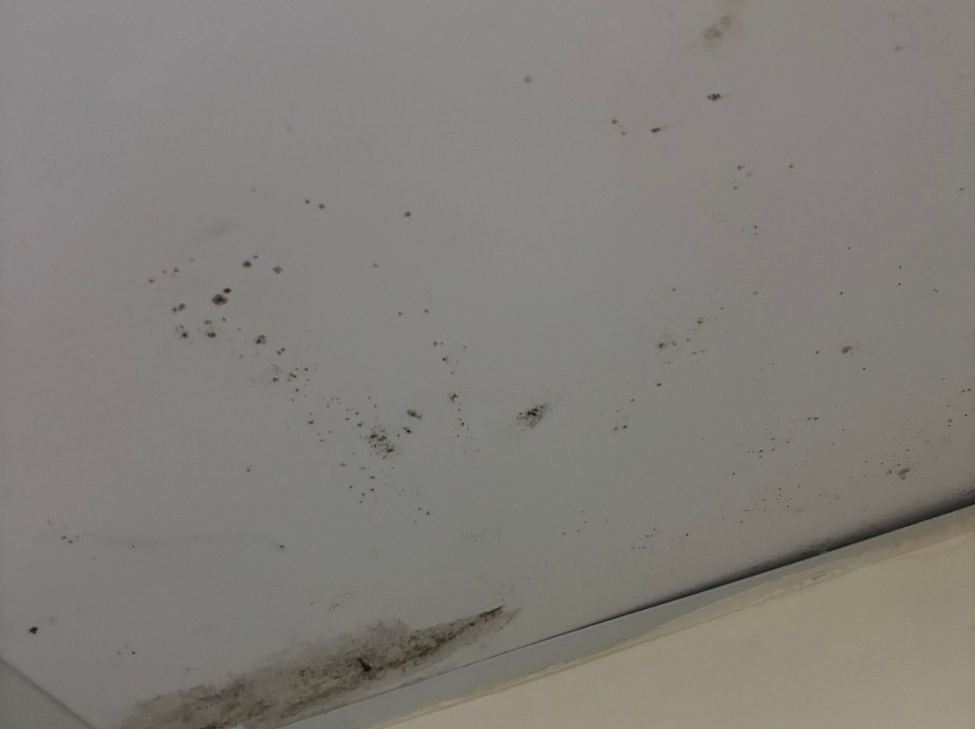 Minaides Hotel主图