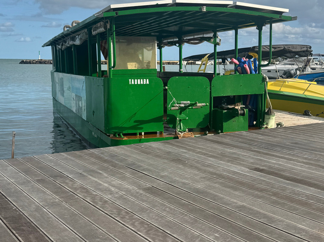 Guadeloupe Evasion Découverte Private Tours景点图片