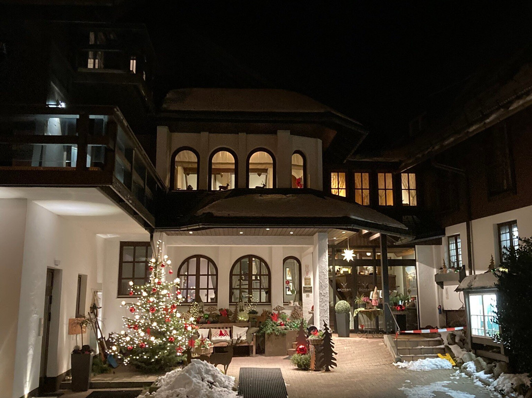 Hotel Zum Ochsen主图