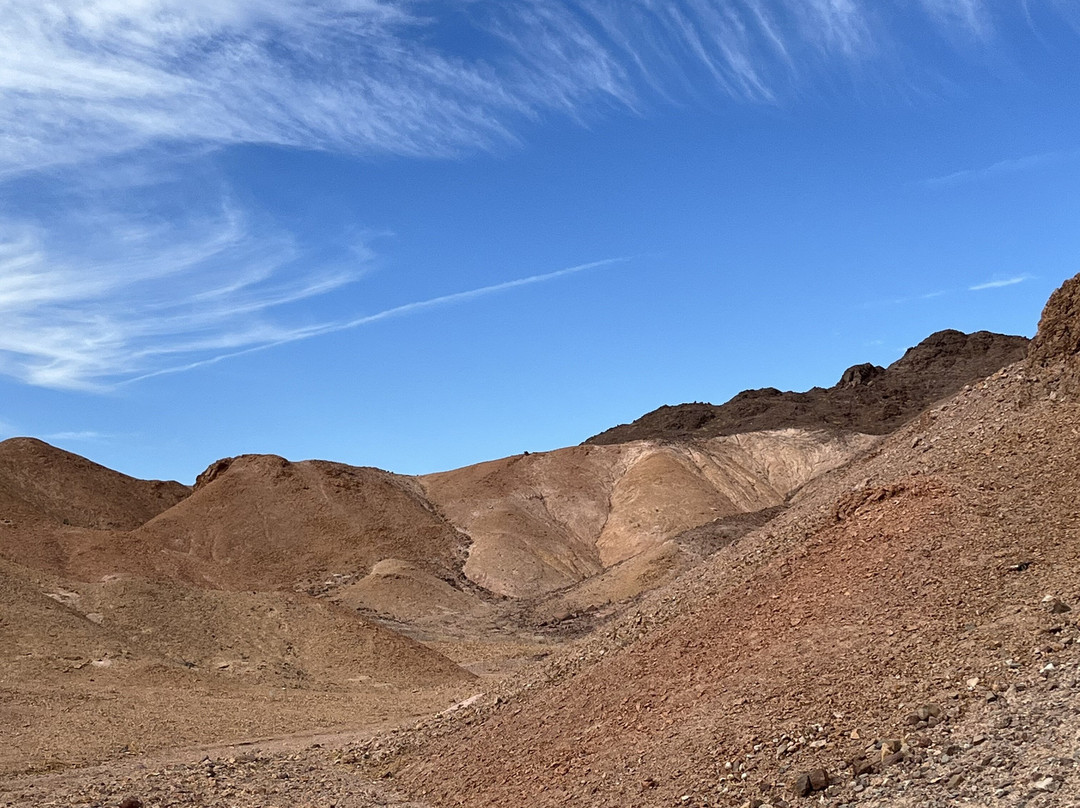 Imperial National Wildlife Refuge-尤马必去景点