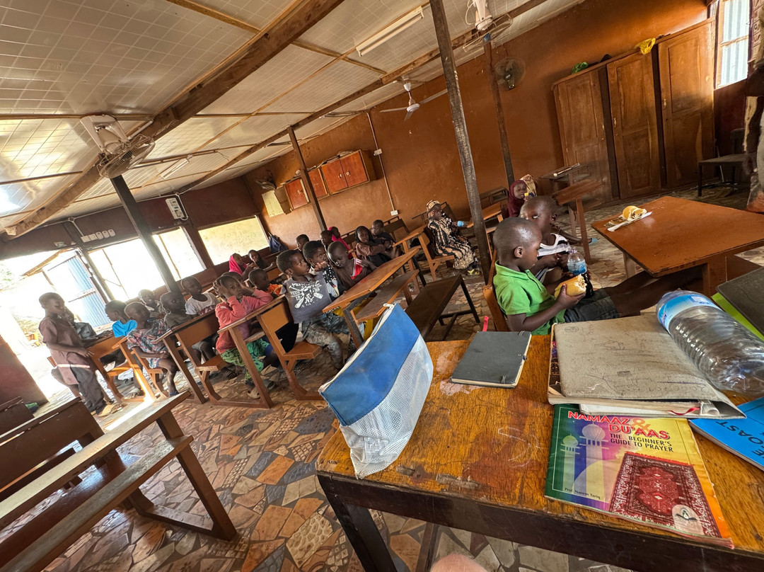 Gambia Taxi & Excursions景点图片