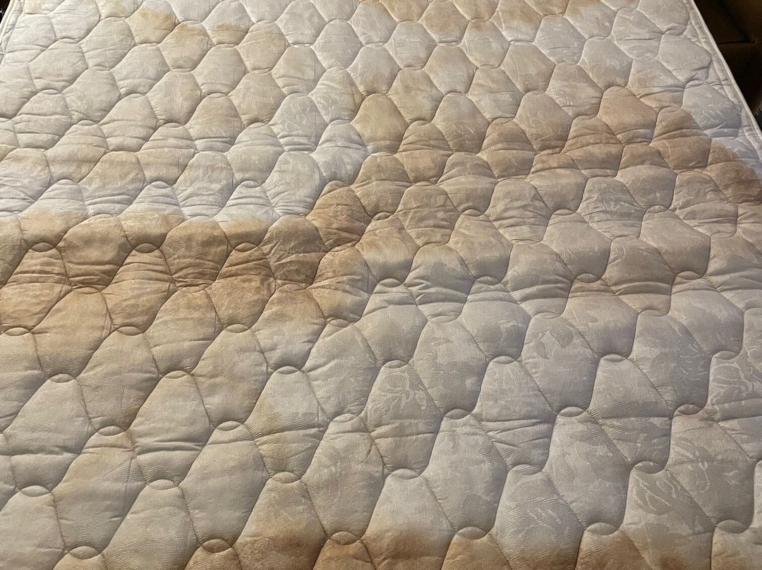 Fairfield by Marriott Inn & Suites Richmond Innsbrook主图