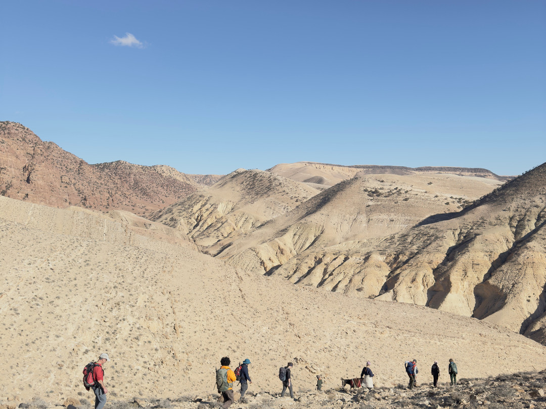 Experience Jordan Adventures景点图片