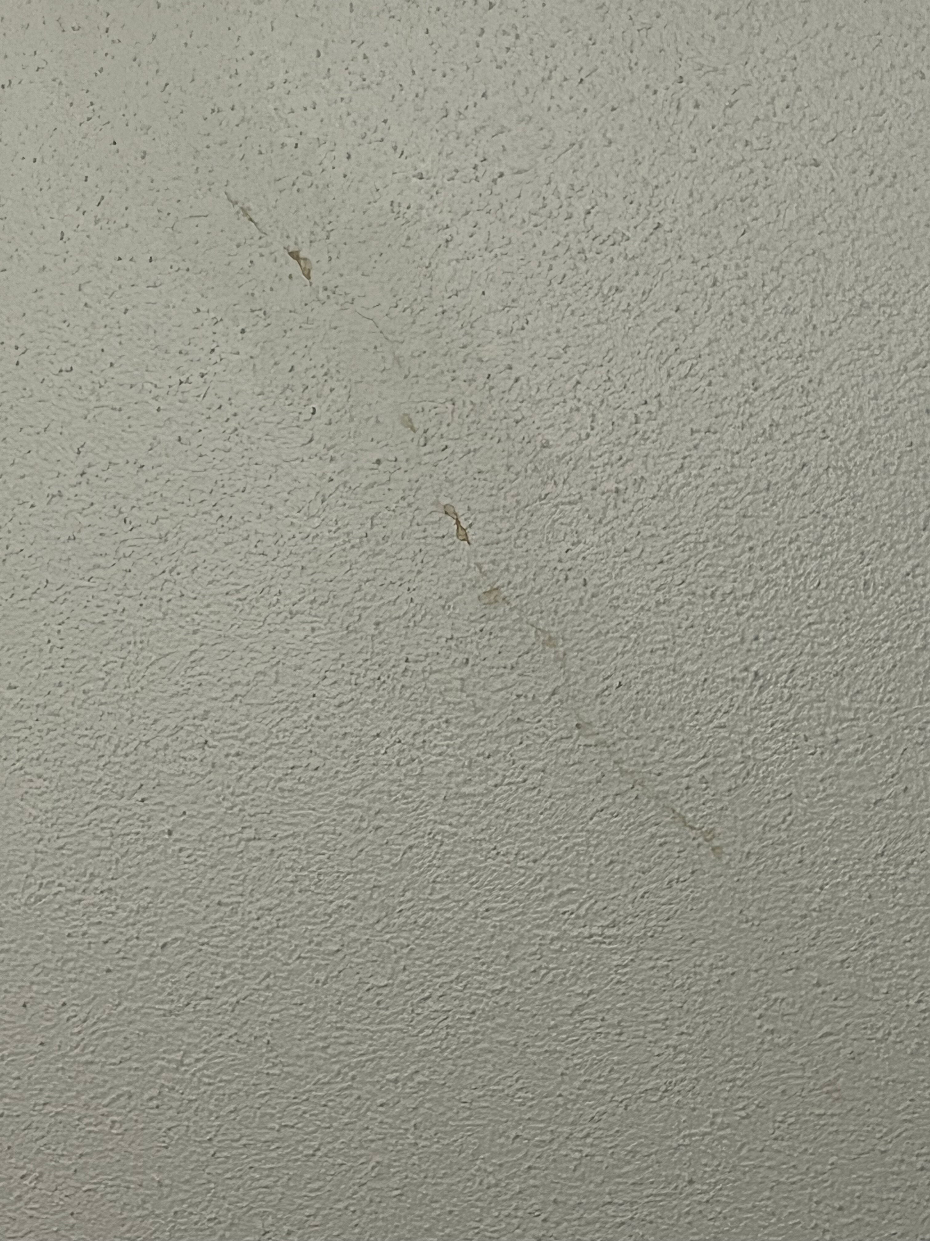 Pacific Bay Resort-客卧