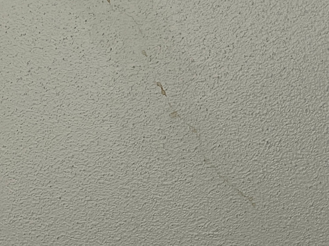 Pacific Bay Resort主图