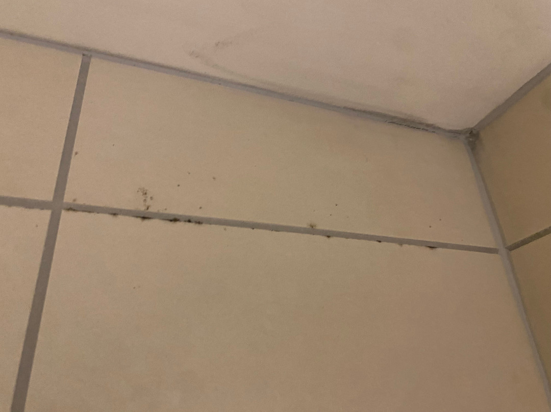 SpringHill Suites by Marriott Green Bay主图