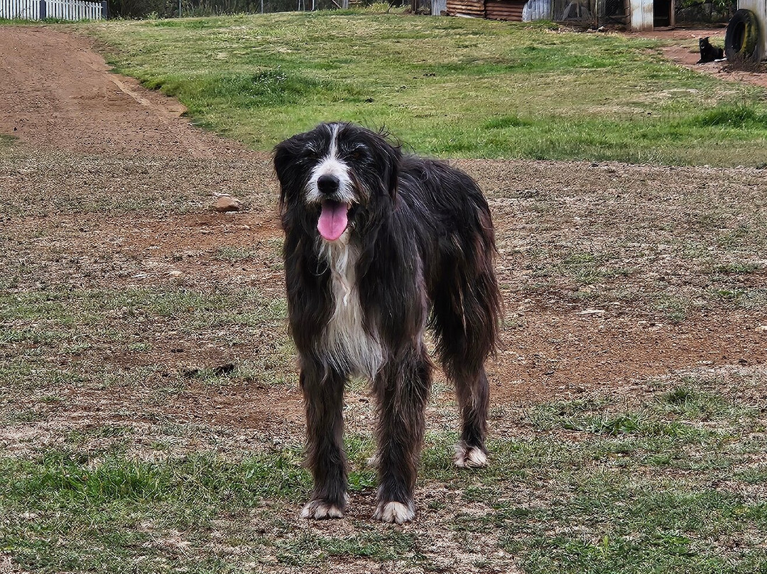 28 gates Luxury Farmstay and Fishery主图