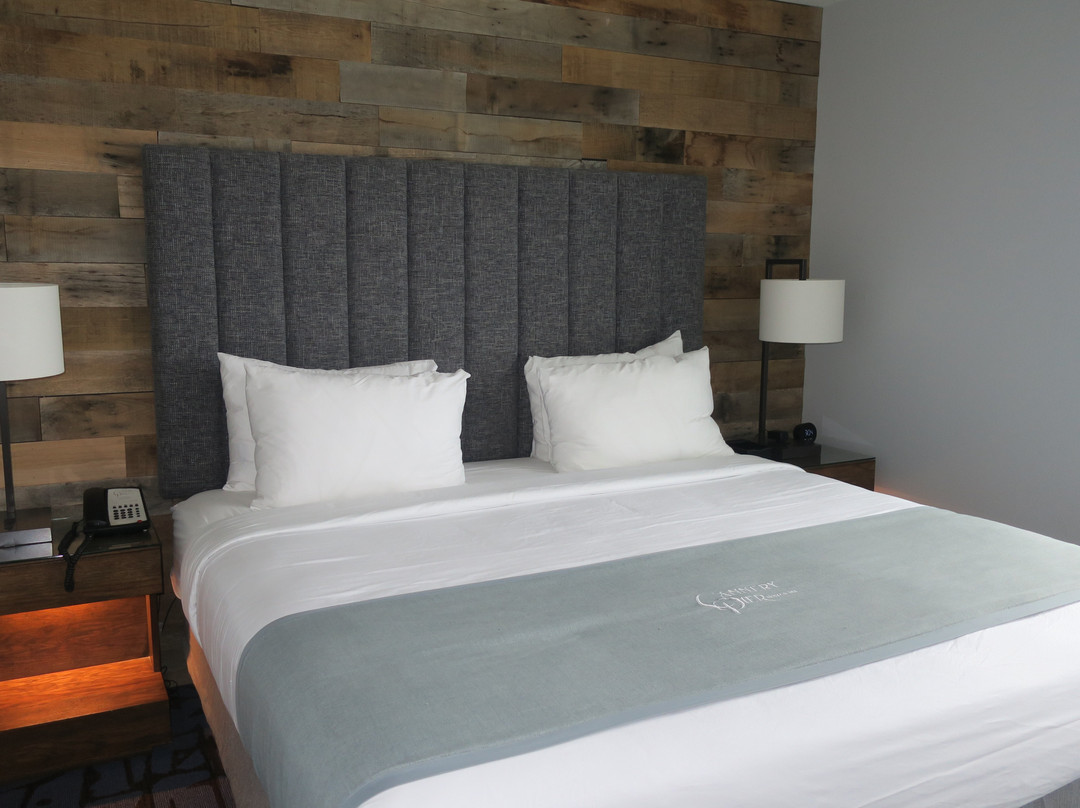 Cannery Pier Hotel & Spa主图