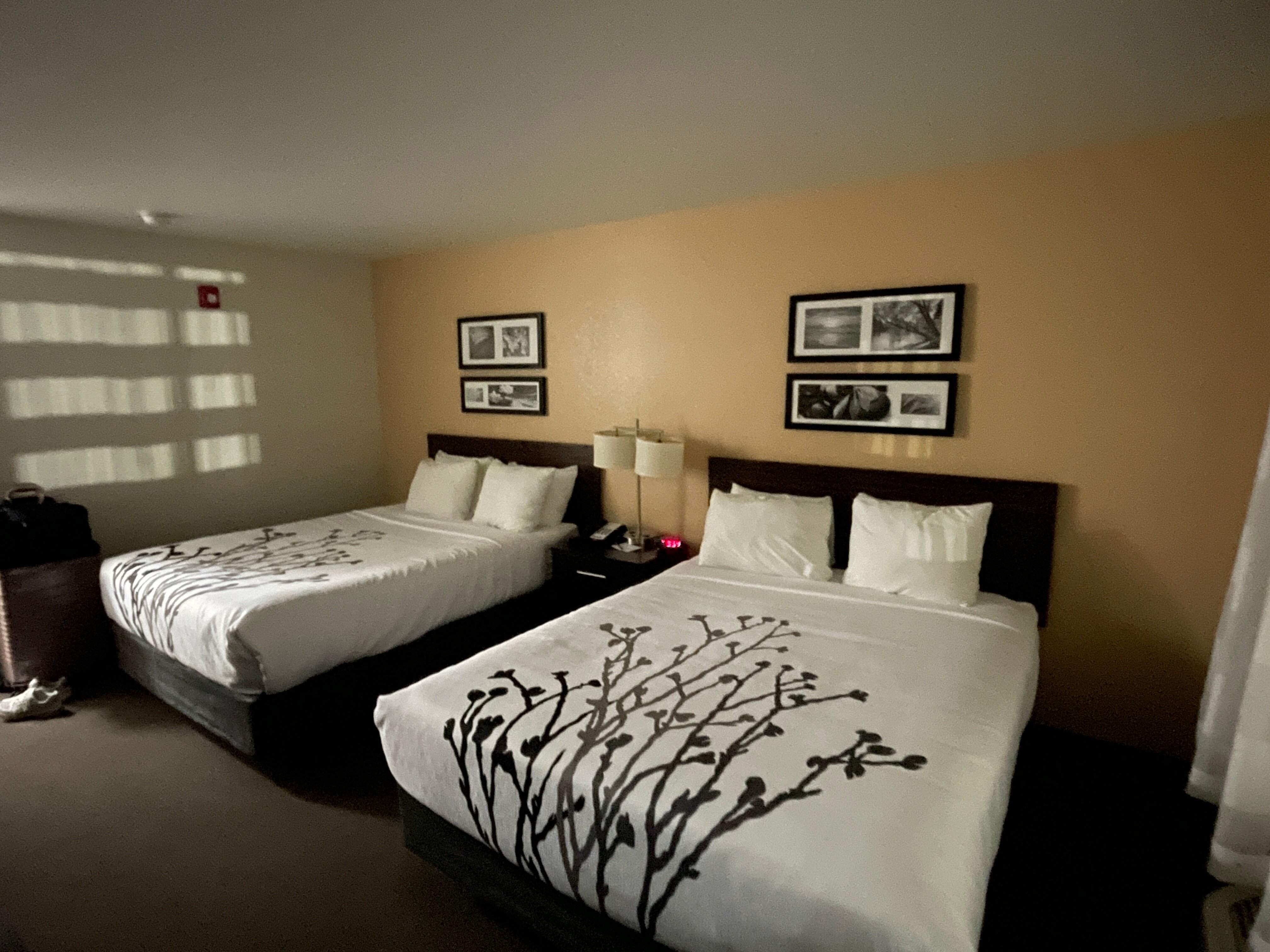 Sleep Inn & Suites Carlsbad Caverns Area-客卧