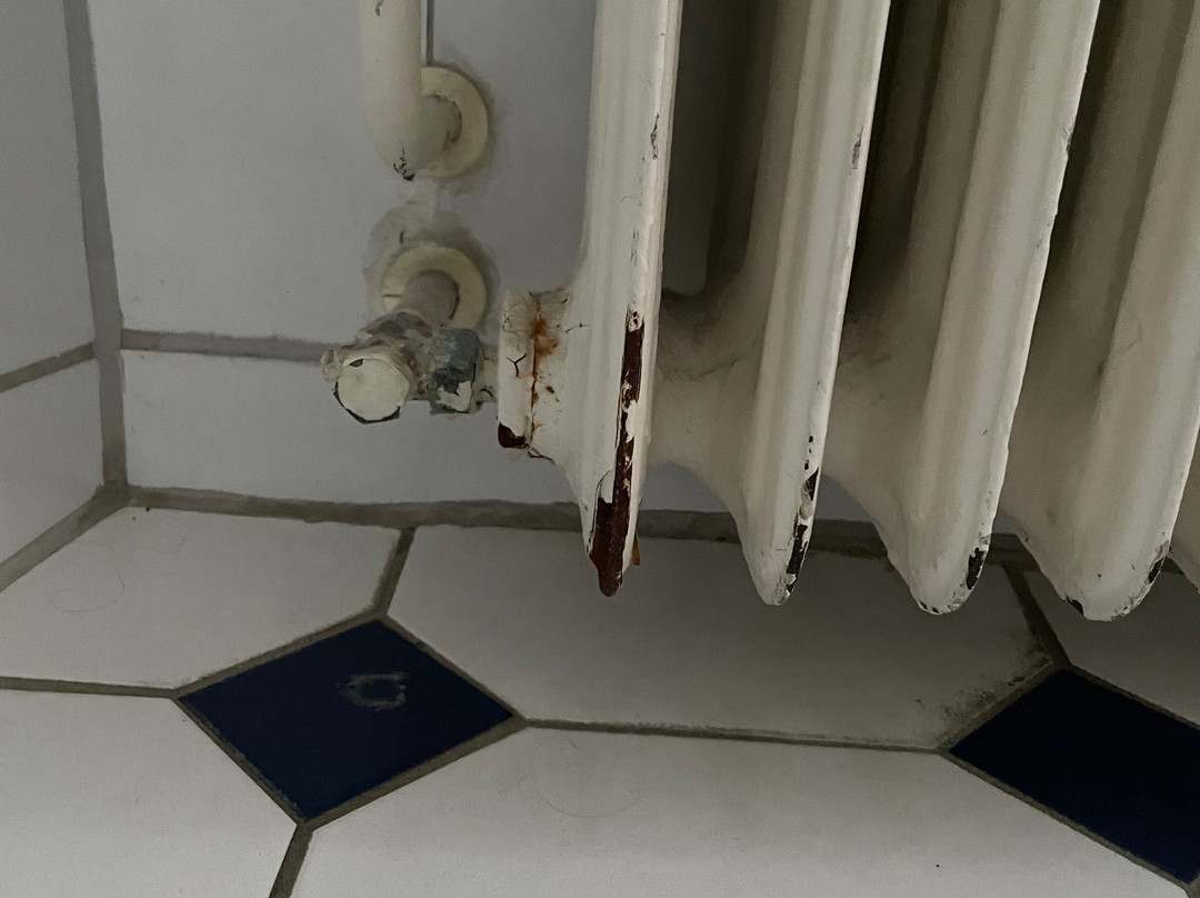 斯堪迪克克莱默酒店主图