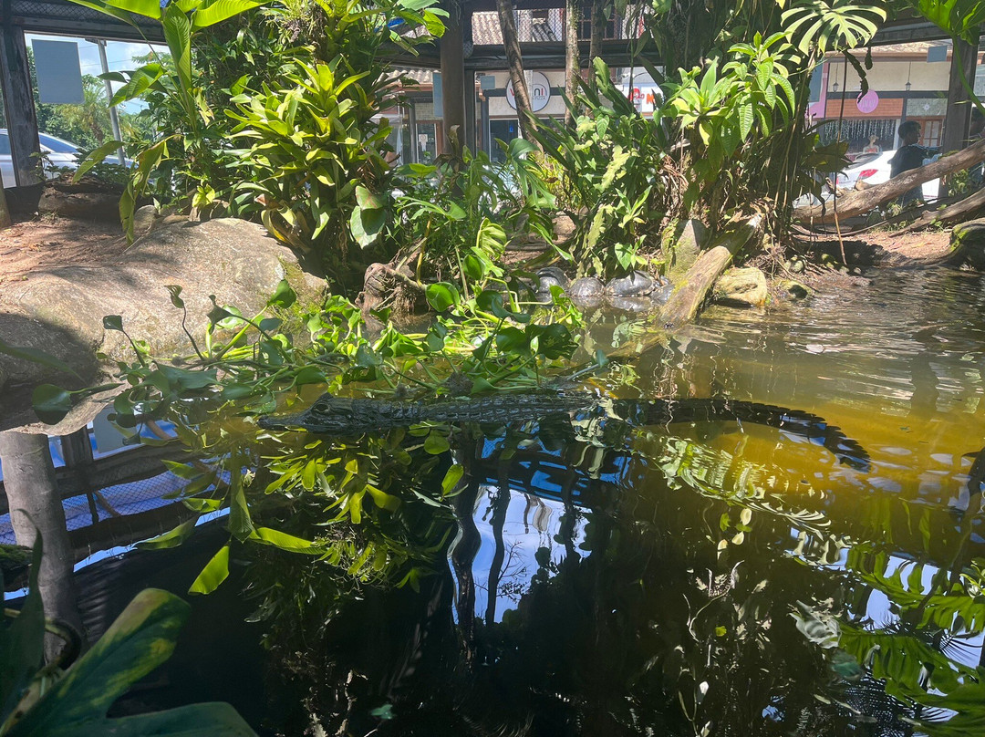 Ubatuba Aquarium-乌巴图巴必去景点