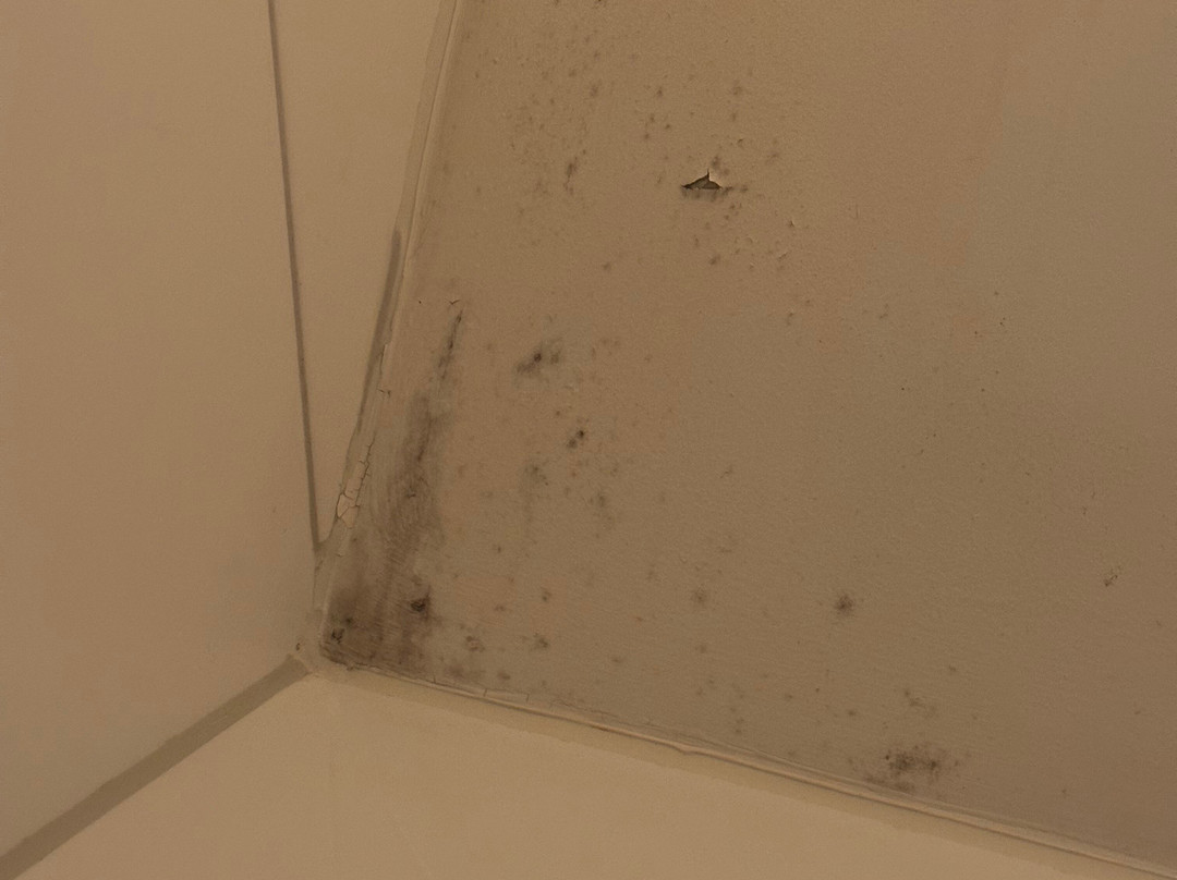 朱莉安娜酒店主图