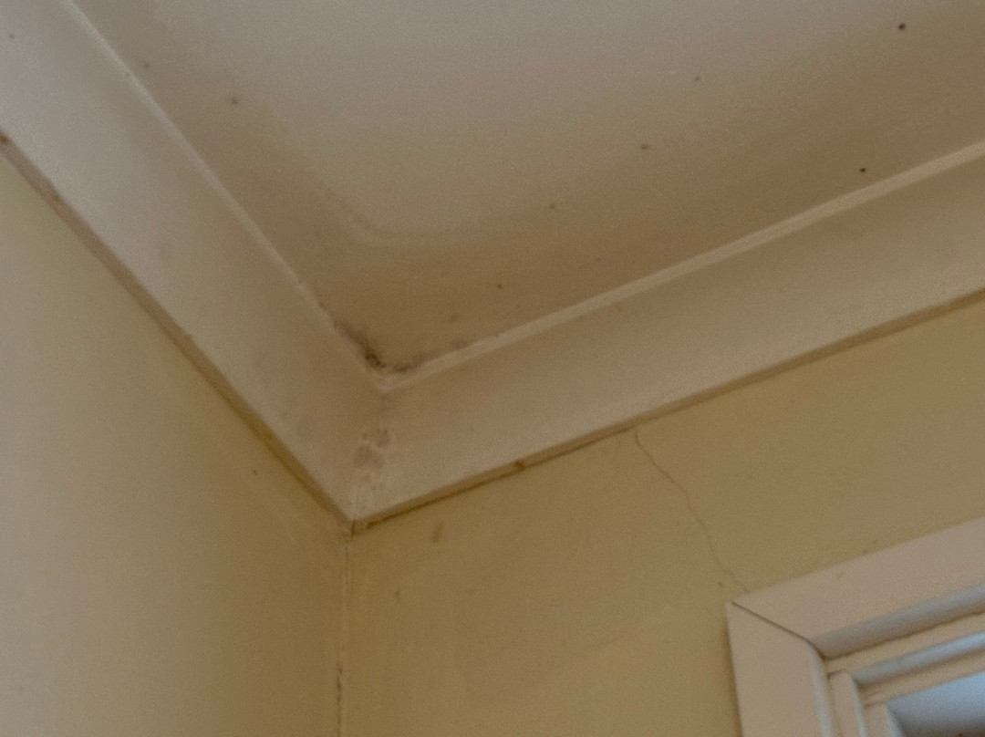 Comfort Inn Bishops Lodge主图