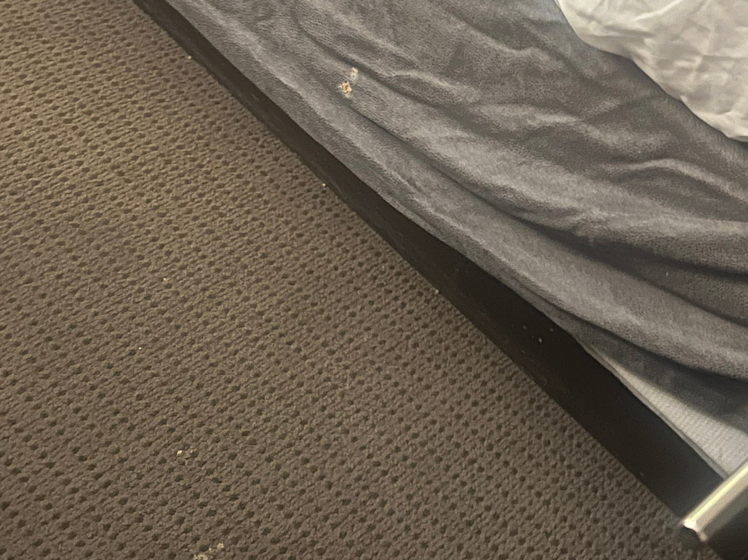 Sleep Inn & Suites Fort Campbell主图