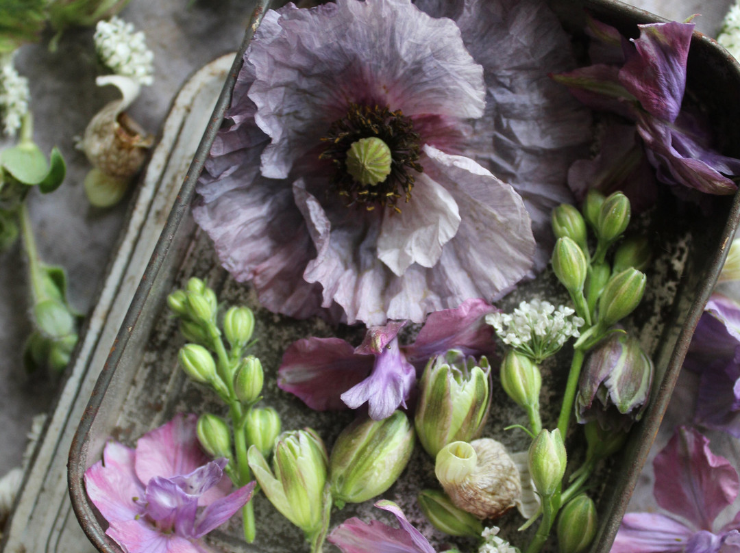 Ink And Earth Studio Florist Shop-切斯特菲尔德必去景点