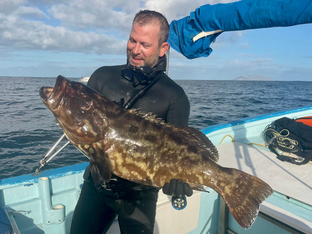 Palapas Ventana主图