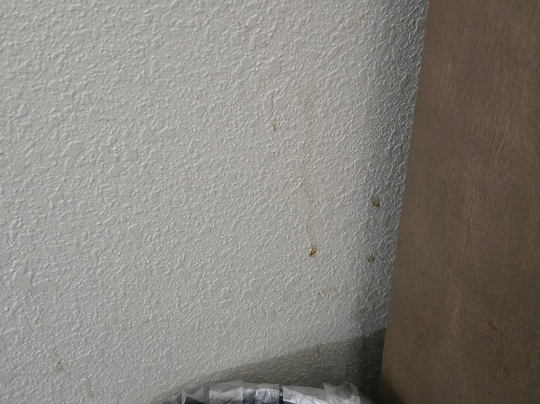 La Quinta Inn & Suites by Wyndham Paducah主图