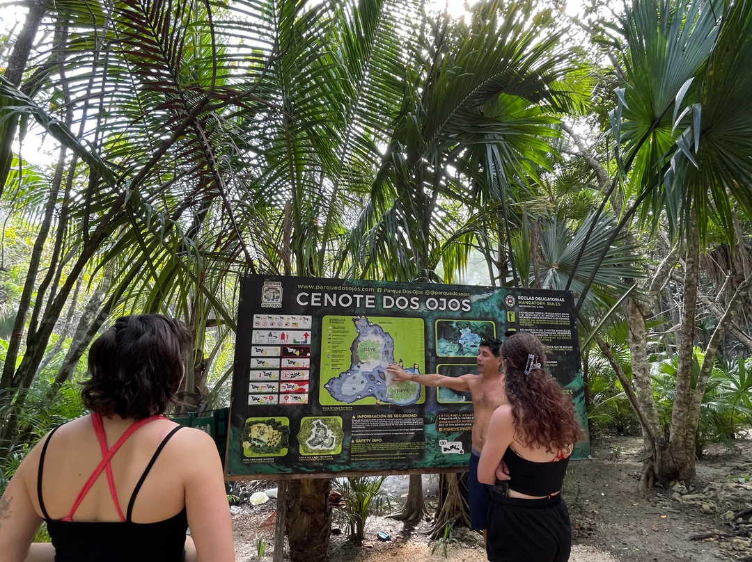 Diving Cenotes Tulum-图伦必去景点