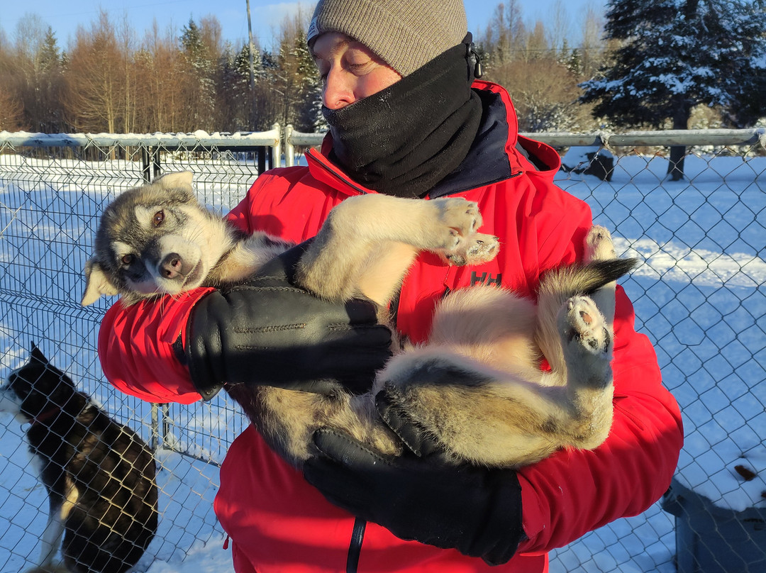 Evasion Nature-Saint Michel des Saints必去景点