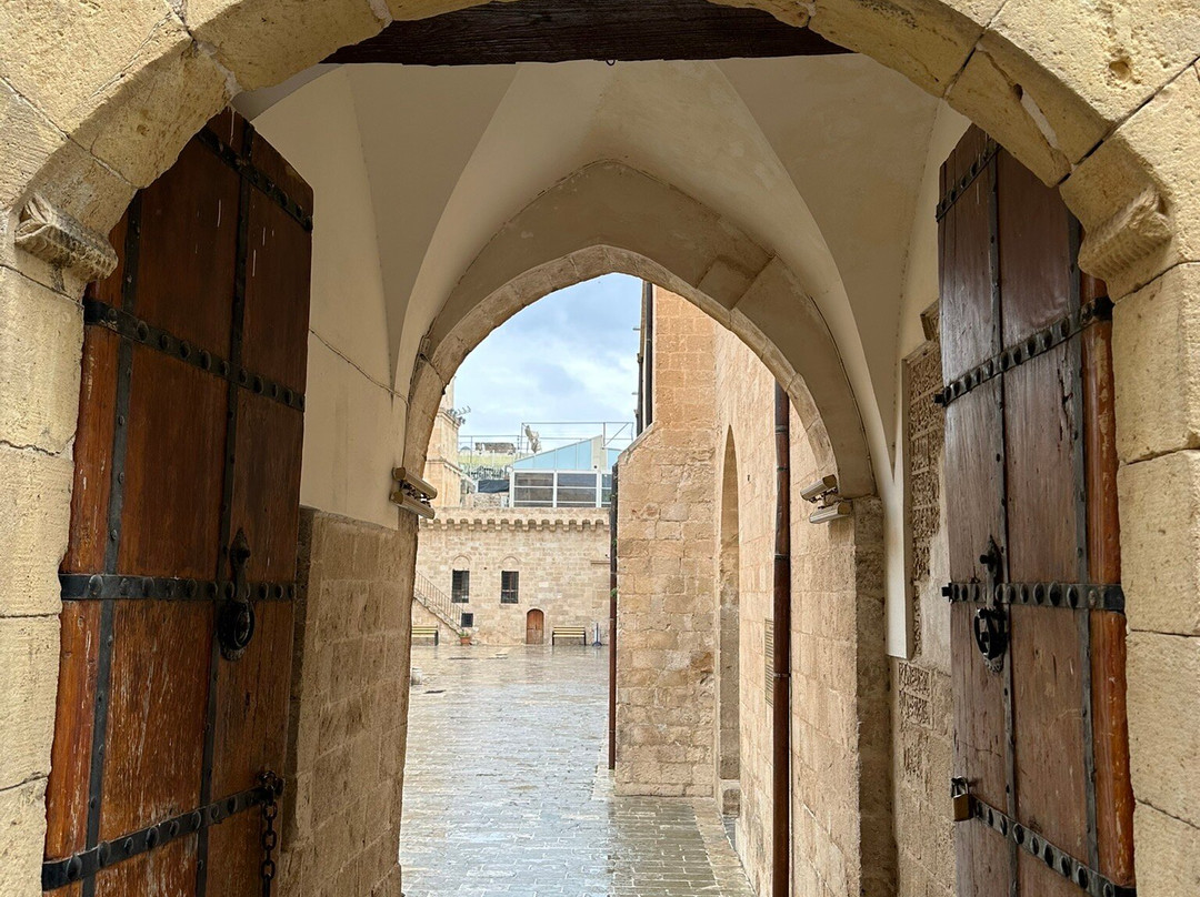 Mardius Tarihi Konak主图