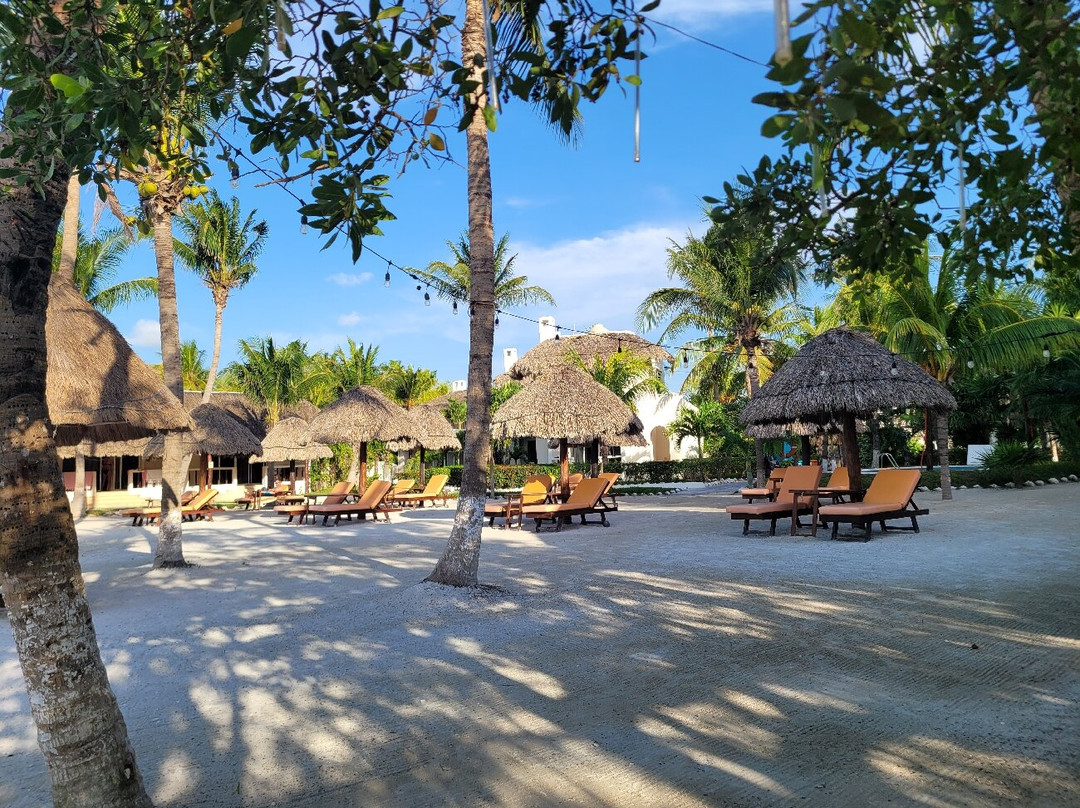 Puerto Holbox主图