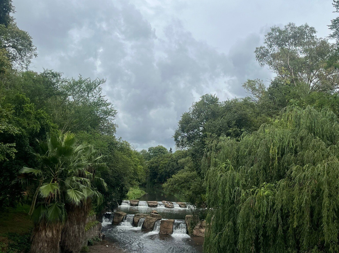 National Zoological Gardens of South Africa-比勒陀利亚必去景点