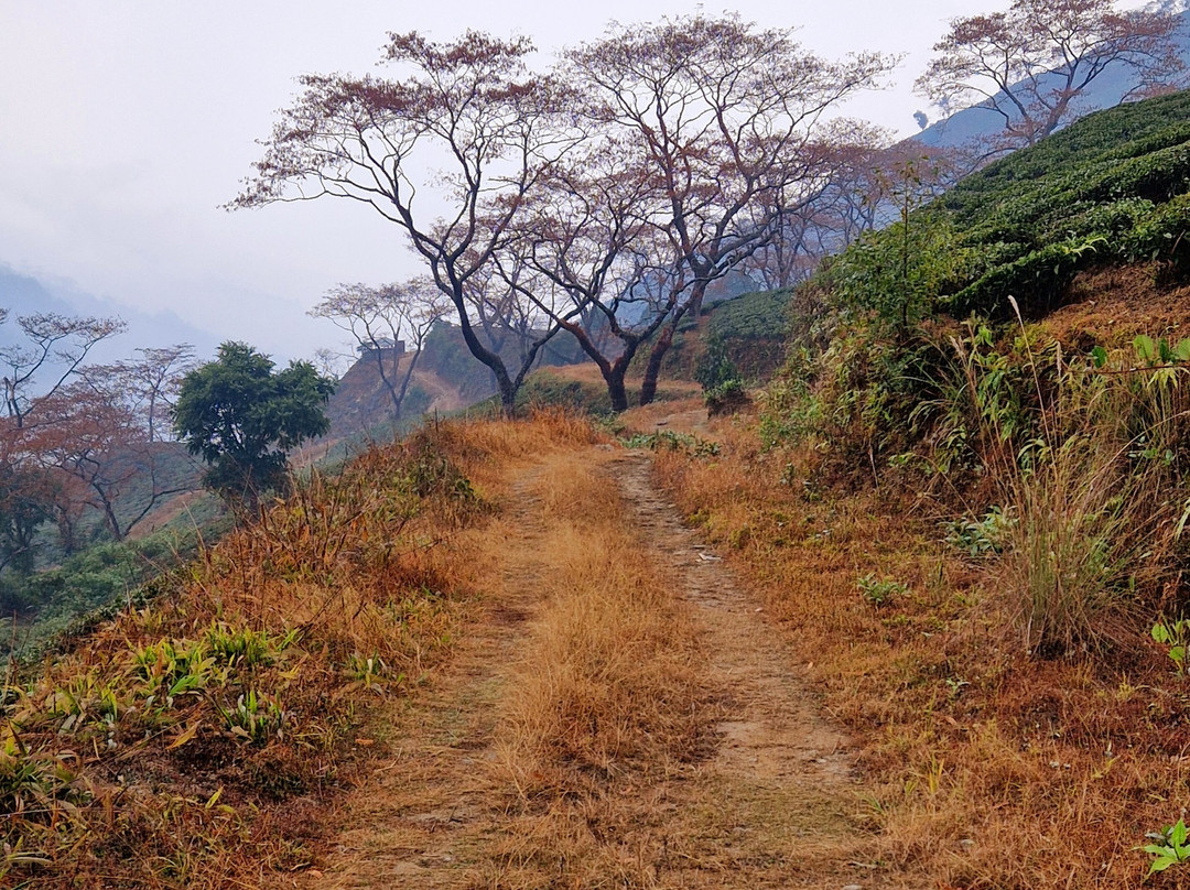 Darjeeling Walks-大吉岭必去景点