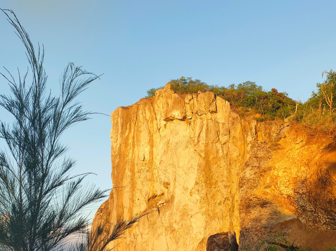 Chichijima Island-小笠原村必去景点