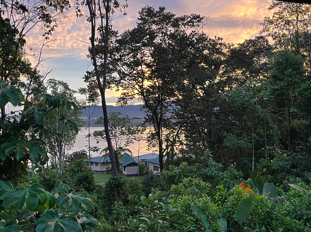 Hotel Jinetes de Osa主图