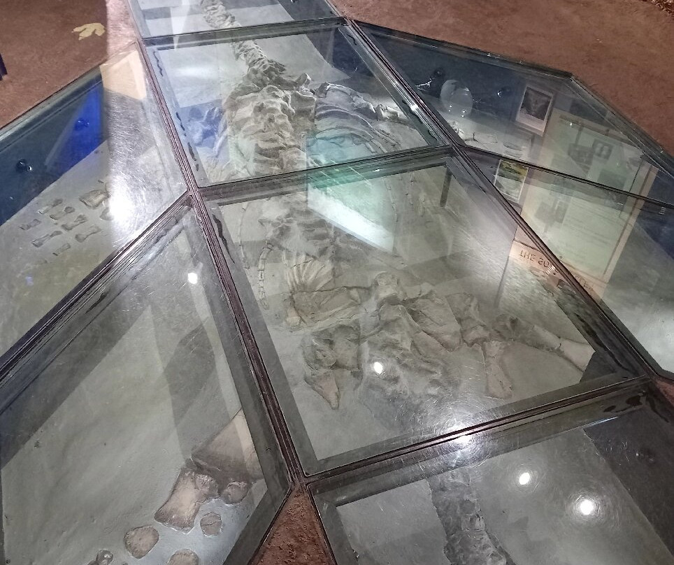 Charnwood Museum景点图片