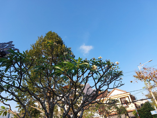 Hoi An Shuttle Bus-会安必去景点