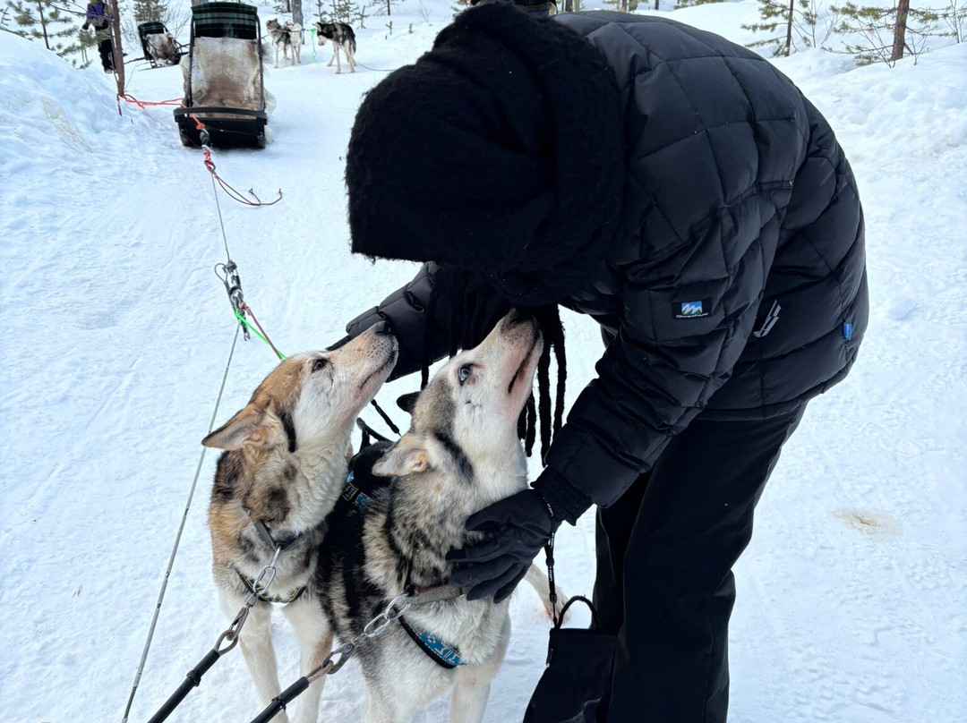 Taigausko Husky Experience-伊纳里必去景点