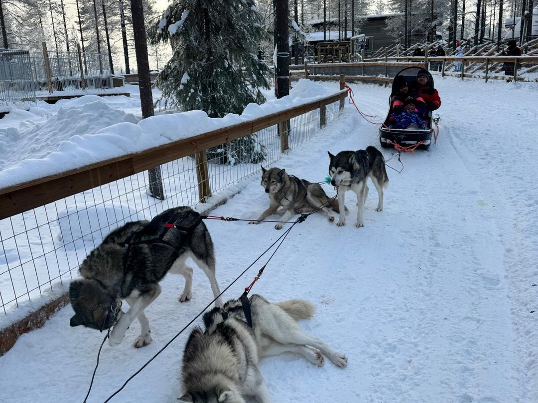 Sunny Safari-罗瓦涅米必去景点