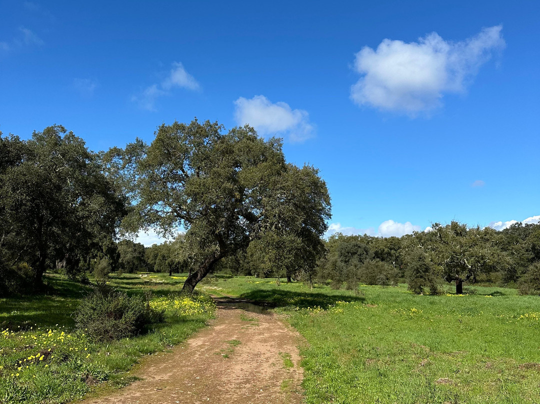 Herdade das Barradas da Serra主图