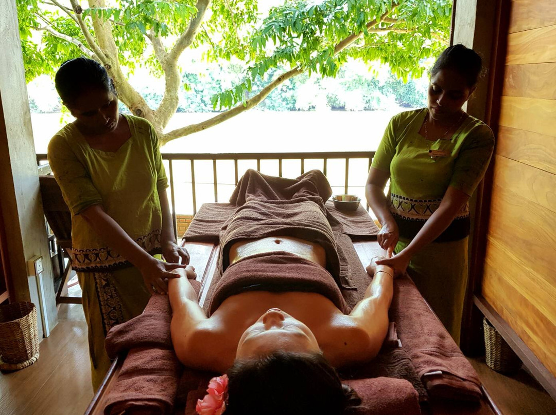 Karunakarala Ayurveda Resort主图