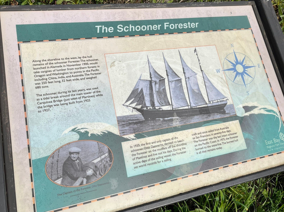 Martinez Regional Shoreline-Martinez必去景点