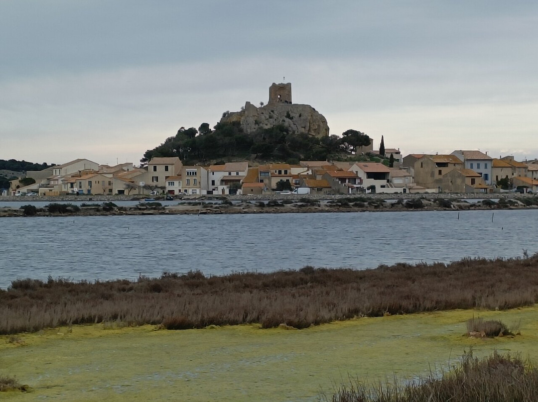 Parc Naturel Régional De La Narbonnaise-纳博讷必去景点