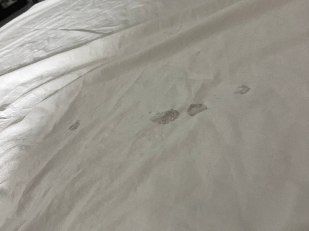 桑堤河豪生酒店主图