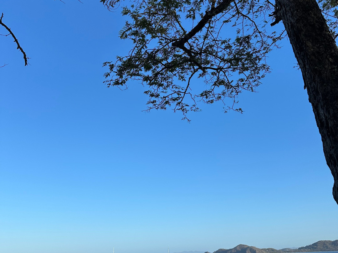 BA Divers景点图片