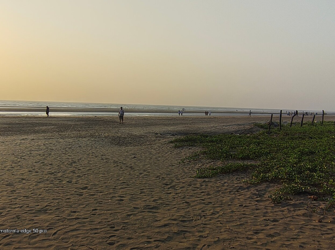 Revdanda Beach Fort景点图片